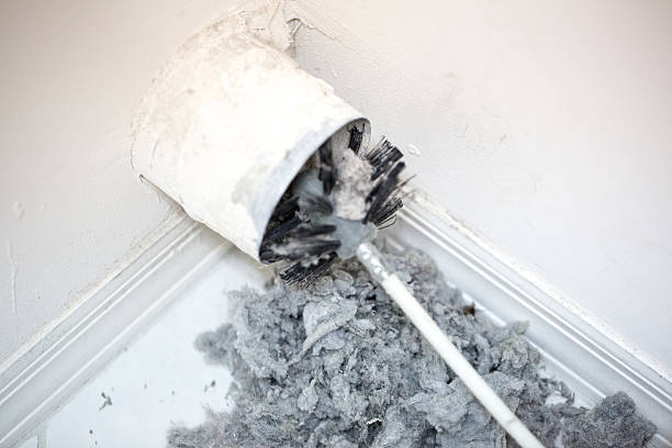 Best Air Duct Mold Removal  in Hilliard, FL